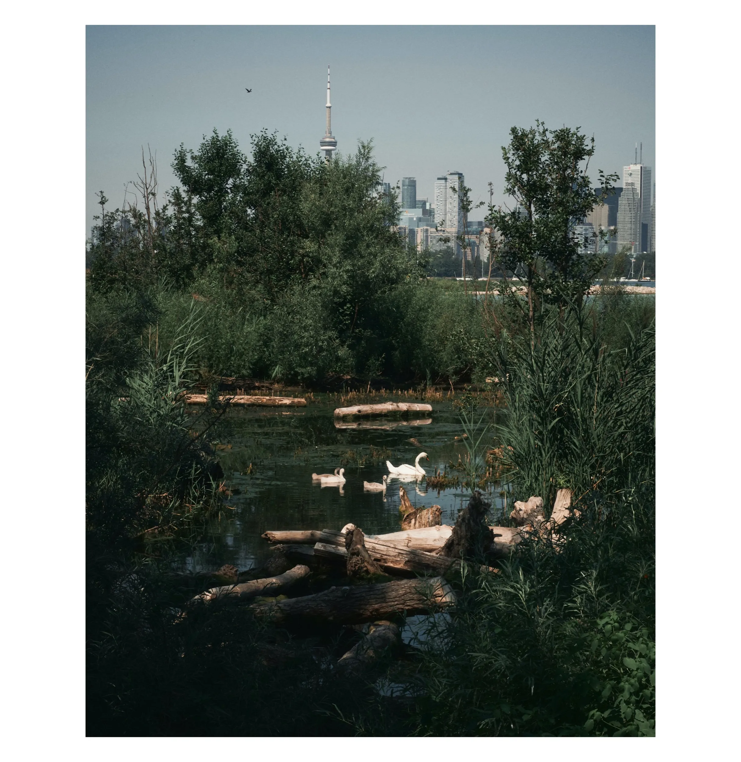 Caption project thumbnail